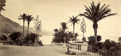 The garden of the Casino of Montecarlo, in the Principality of Monaco by Italian Photographer