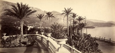 The garden of the Casino of Montecarlo, in the Principality of Monaco by Italian Photographer