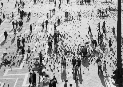 View of the crowds in Piazza San Marco, Venice, c.1965 by Italian Photographer