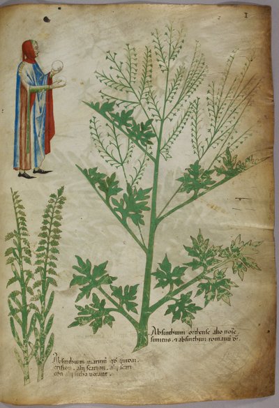 A figure wearing a gown holding a white globe in each hand; plants, c.1440 by Italian School