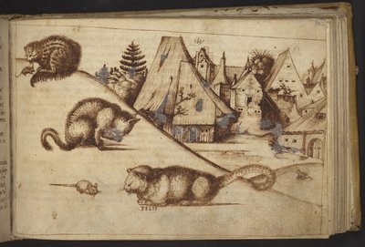 Cats catching mice (