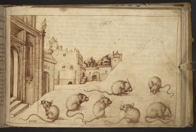Mice (