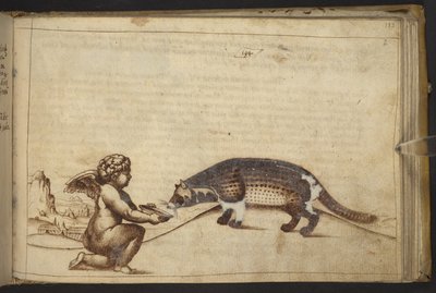 Cherub and a Creature, from Historia Animalium by Italian School