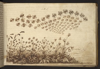 Add. 82955, f.64 Bees (