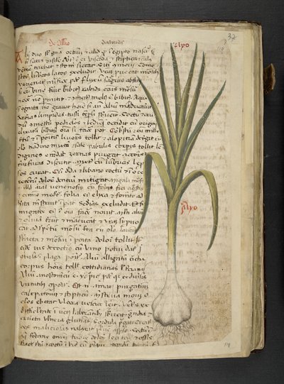 De Allio, A Herbal, Belluno by Italian School