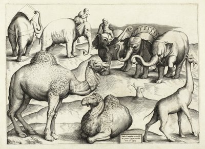 Animal Paintings from Ancient Rome, Table, 3., pub. Antonio Lafrere 1528 by Italian School