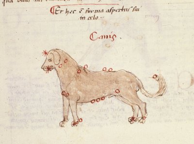 Constellation of the Dog (Canis). Miniature from 