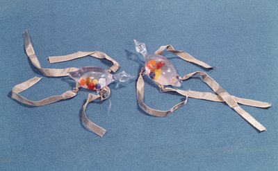 Copy of two medical thermometers from the Museo di Storia della Scienza in Florence by Italian School