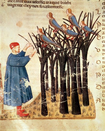 Dante and the Souls Transformed into Birds, from The Divine Comedy by Dante Alighieri by Italian School