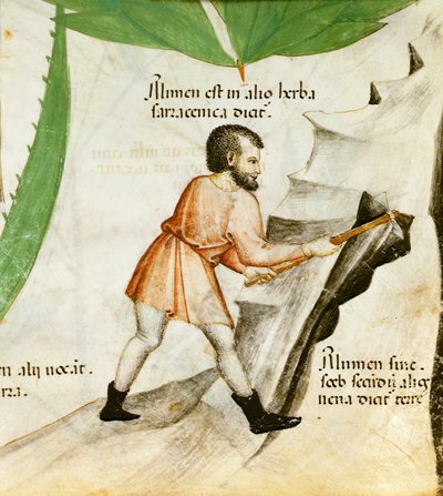 Extracting Alum, c.1440 by Italian School
