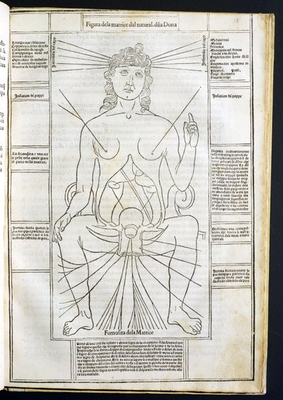 Female Anatomy by Italian School