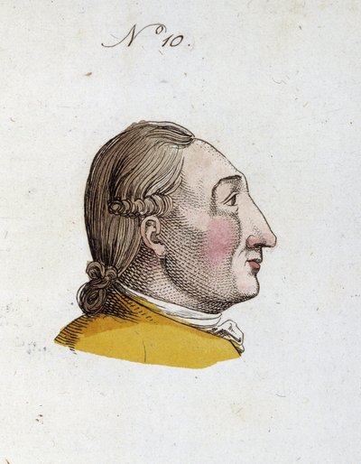 Figure number 10 representing the face of a man in 