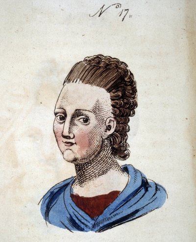 Figure number 17 representing the face of a woman in Il Lavater portatile: o Sia compendio dell
