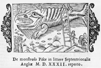 Fish Monster (illustration from Historia de Gentibus Septentrionalibus by Olaus Magnus, published in Rome, 1555) by Italian School