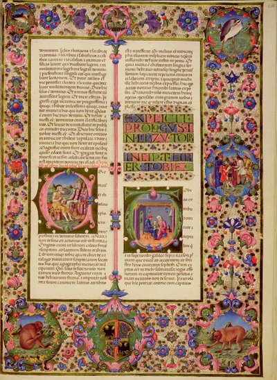 Book of Toby, from the Borso d
