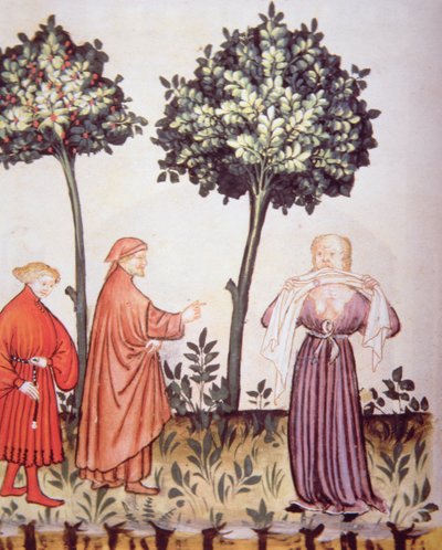 Cholera, illustration from Tacuinum Sanitatis Codex Vindobonensis by Italian School