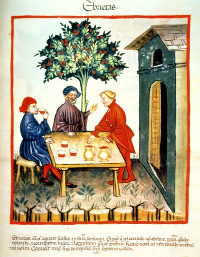 Drunkenness, illustration from Tacuinum Sanitatis Codex Vindobonensis by Italian School