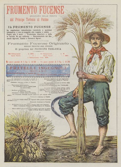 Fucense Wheat by Italian School