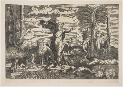 God Creating the Animals, c.1550 by Italian School