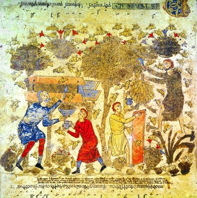 Honey Harvest in Italy in the 12th Century by Italian School