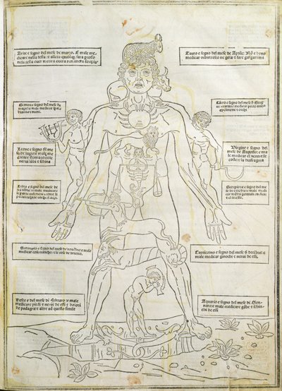Illustration from 