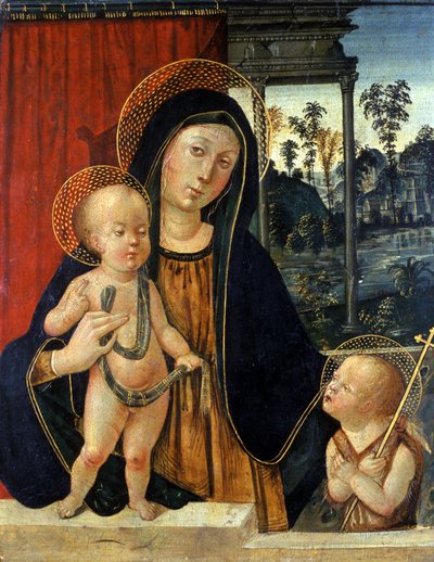 Madonna and Child with a young John the Baptist by Italian School