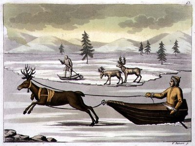 Male and Female Reindeer and a Laplander on his Sledge Pulled by a Reindeer, plate 43 from 