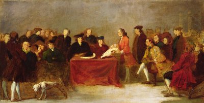 Meeting of the Academy or, Natural History Examination in Venice by Italian School