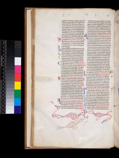 Ms 164. Peter Lombar, Sententiae, f.15v. Bas-de-page Pen-work Decoration Developed into Bird/Dragon Hybrids by Italian School