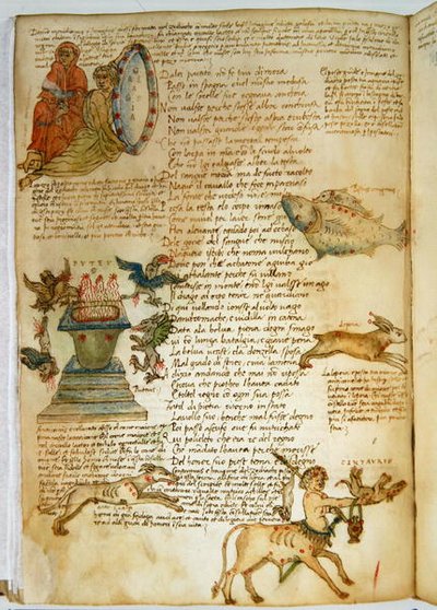 Constellations, from the 