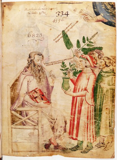 Men presenting plants to an unknown man, from De Herbis by Manfredus de Monte Imperiali by Italian School