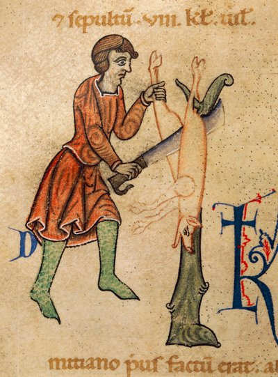 November, Butcher quarters pig, Miniature from Martyrology of Adonis by Italian School