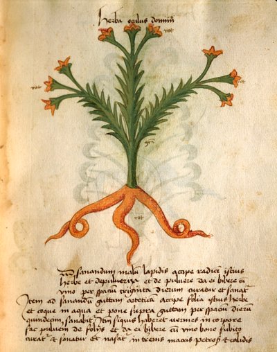 Oculus Domini by Italian School