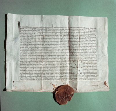 Official Document of Emperor Charles IV Certifying the University of Siena by Italian School