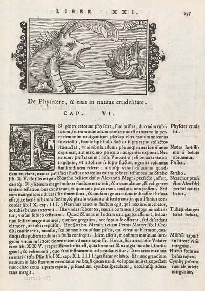 Page 735 from Historia De Gentivus Septentrionalibus by Magnus Olaus, Rome 1565 by Italian School