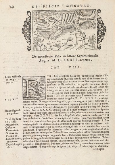 Page 742 from Historia De Gentivus Septentrionalibus by Magnus Olaus, Rome 1565 by Italian School