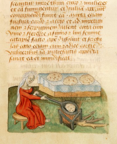 Page from the Tractatus de Herbis by Dioscorides Pedanius by Italian School