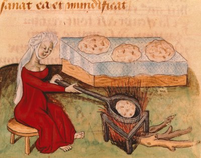 Page from the Tractatus de Herbis by Italian School