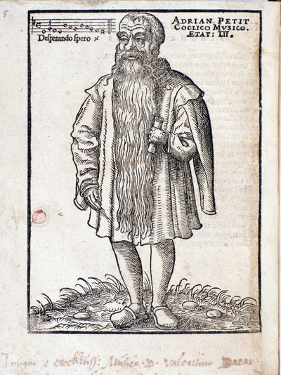 Portrait of Adrianus Petit Coclico, Netherlandish composer of the Renaissance by Italian School