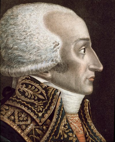 Portrait of Francesco Melzi D