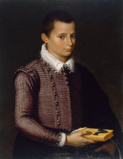 Portrait of a Boy Holding a Book by Italian School