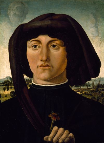 Portrait of a Young Man with a Pink Flower, c.1475-85 by Italian School