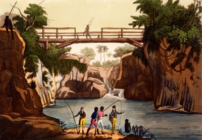 River Roccie near San Benedetto, Isle of Madagascar, from Costumi dei... by Giulio Ferrario, c.1820s-30s by Italian School