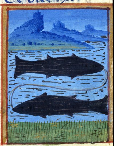 Sign of fish. Italian horoscope, mid-15th century. by Italian School