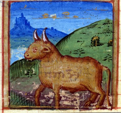 Sign of the Bull, Italian Horoscope, mid-15th century by Italian School