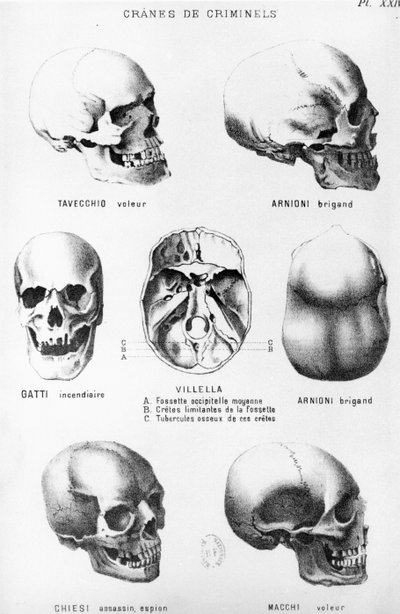 Skulls of Murderers, from L