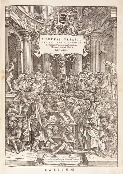 The Author Conducting an Anatomical Dissection in a Surgical Theatre, 1543 by Italian School