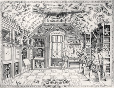 The Natural History Museum of Emperor Ferdinand III from Historia Naturale by Ferrante Imperato, published in 1672 by Italian School