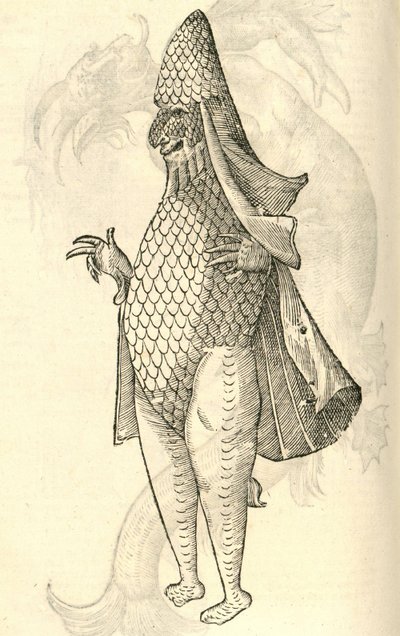 Illustration of Monstrum Marinum rudimenta habitus Episcopi referens from Aldrovandi