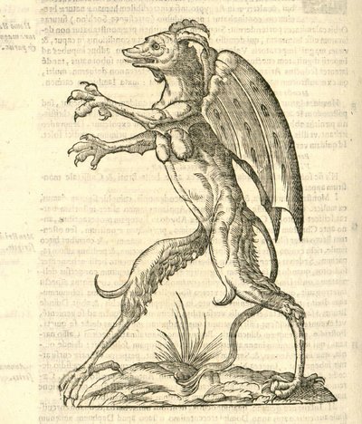 Illustration of Monstrum alatum, & cornutum instar Cacodaemonis from Aldrovandi